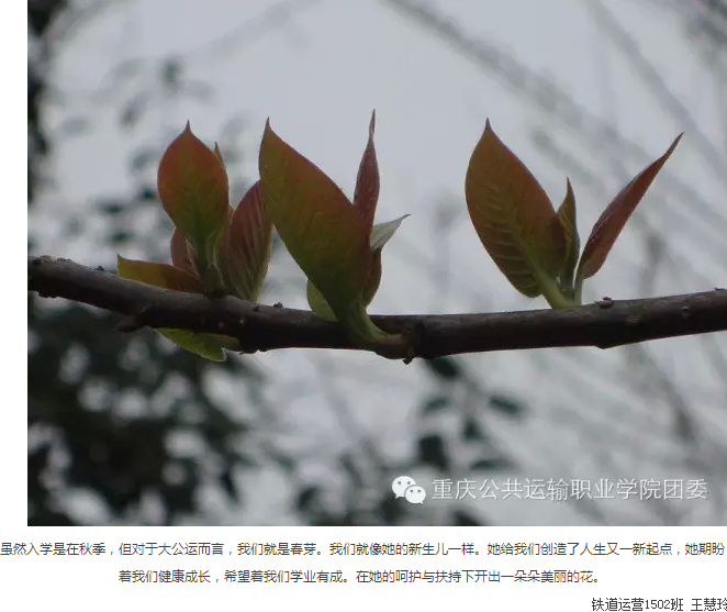 “美丽瞬间,魅力公运”摄影大赛